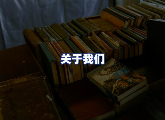 专业团队